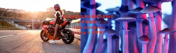 гидропоника Янаул