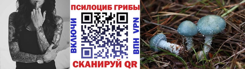 Галлюциногенные грибы GOLDEN TEACHER  Купить  Туймазы 